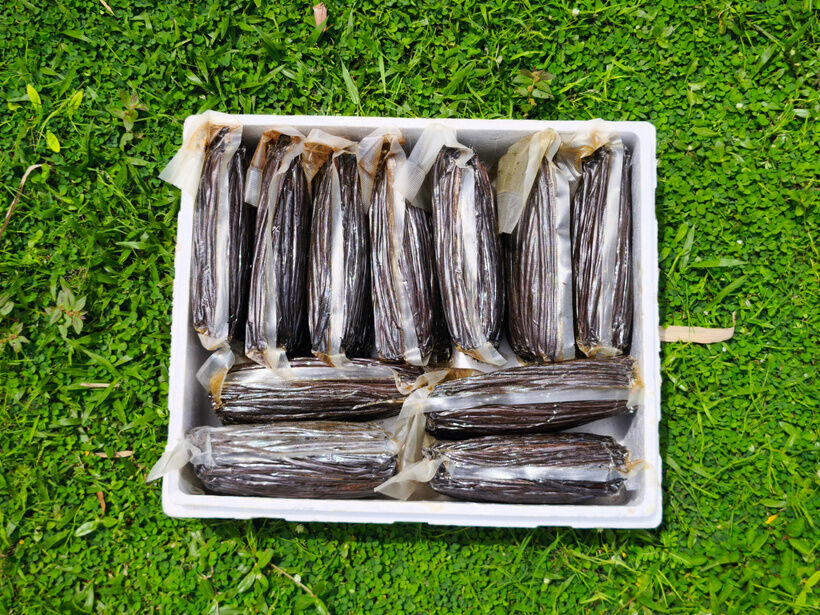 Vanilla packaging