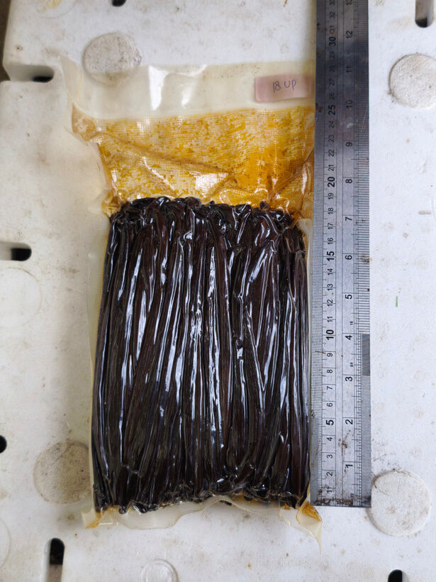 Vacuum-sealed vanilla